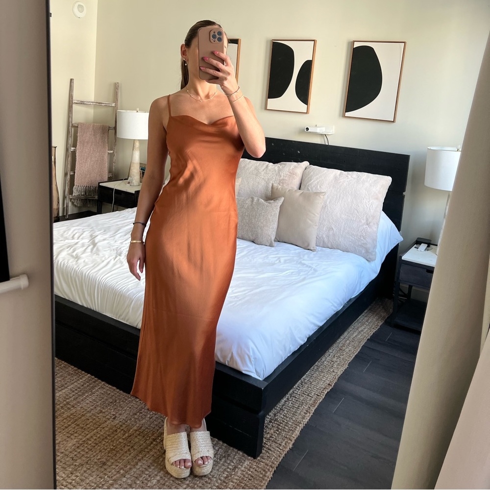 Express Silk Dress